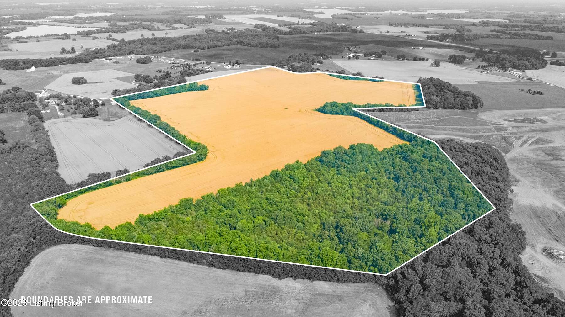 126 Acres of Agricultural Land for Sale in Franklin, Kentucky