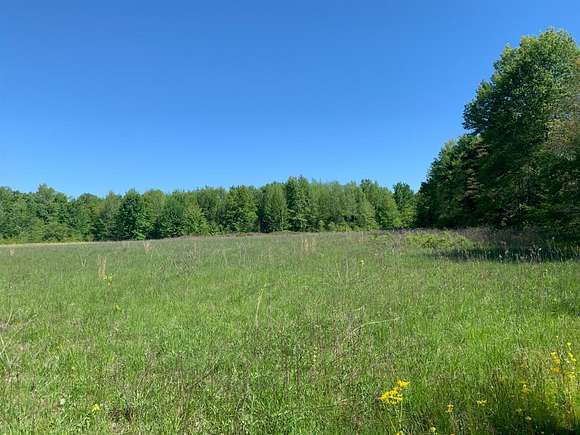 68.9 Acres of Recreational Land & Farm for Sale in Holton, Indiana