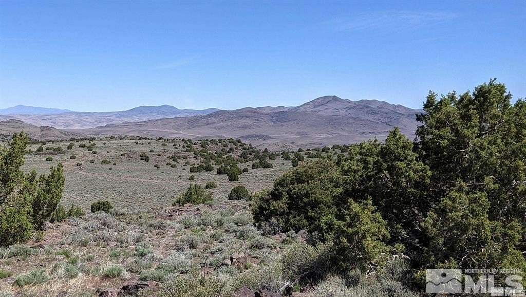 40 Acres of Agricultural Land for Sale in Reno, Nevada