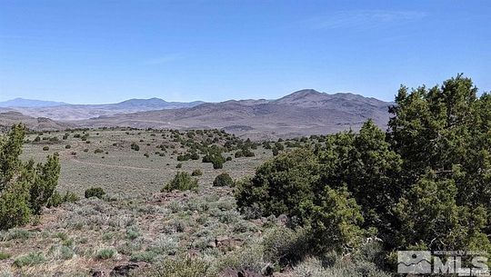 40 Acres of Agricultural Land for Sale in Reno, Nevada