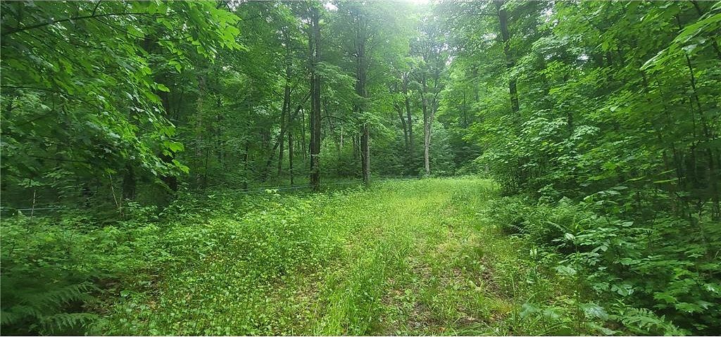 158 Acres of Land for Sale in Butternut, Wisconsin