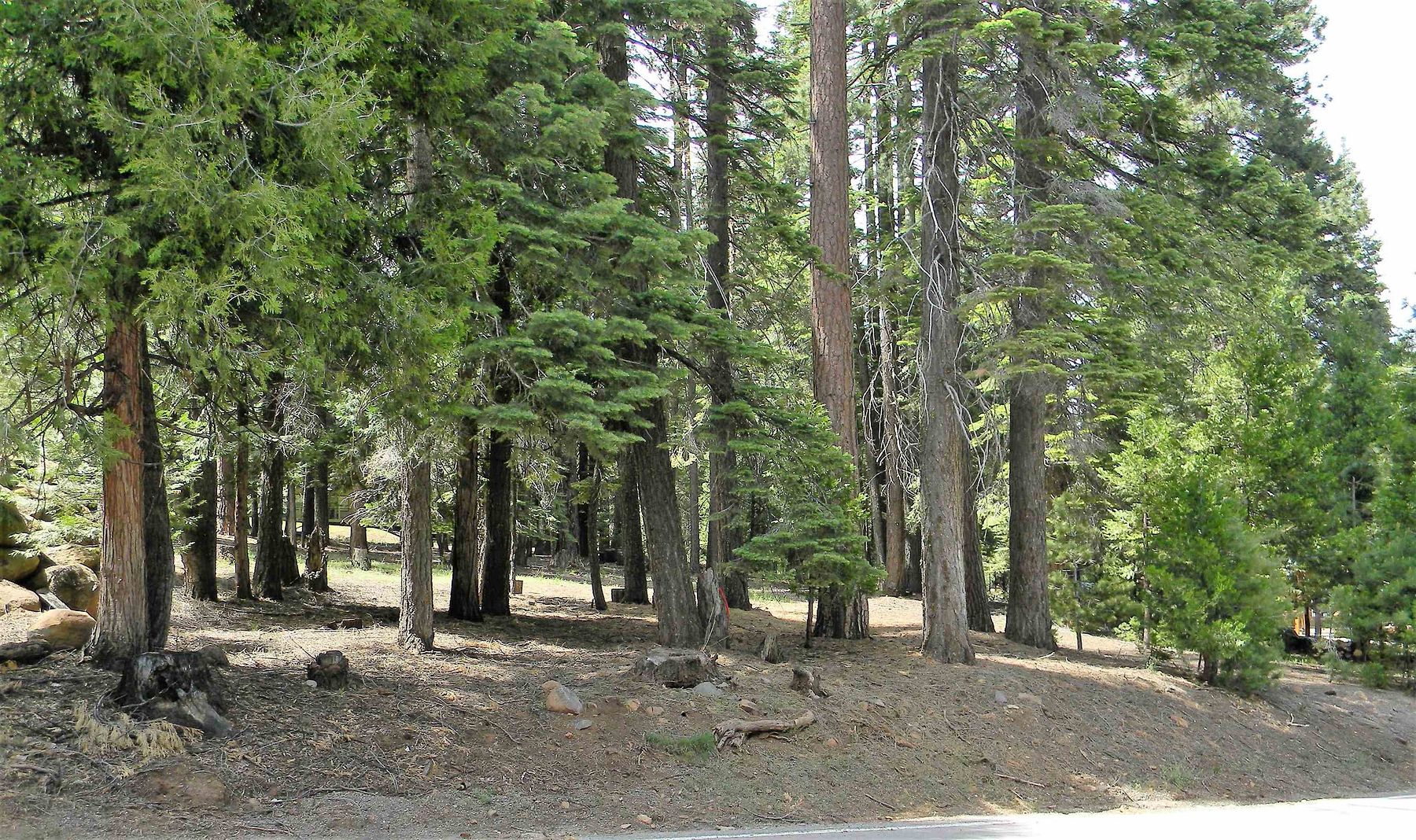 0.59 Acres of Residential Land for Sale in Lake Almanor Country Club, California