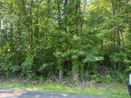 0.38 Acres of Residential Land for Sale in Silver Creek, Georgia