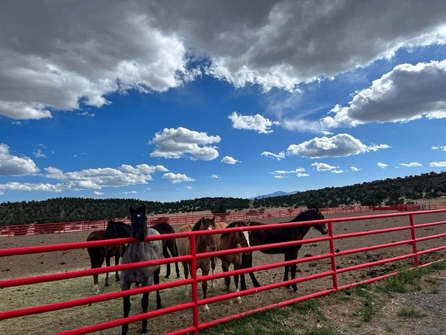 680 Acres of Improved Recreational Land for Sale in Capitan, New Mexico