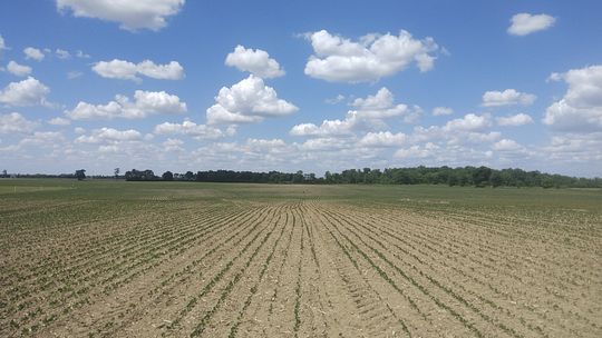 81 Acres of Agricultural Land for Sale in Commercial Point, Ohio