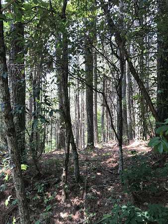 10.2 Acres of Land for Sale in Ducktown, Tennessee