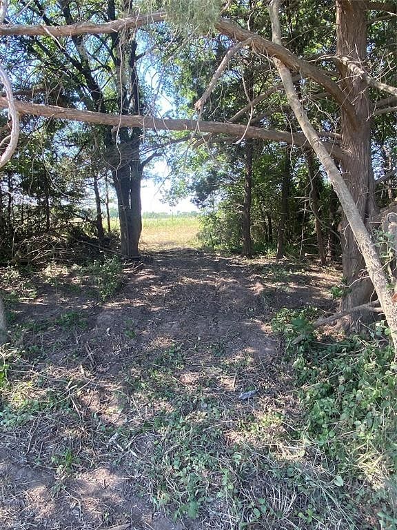 5 Acres of Residential Land for Sale in Honey Grove, Texas