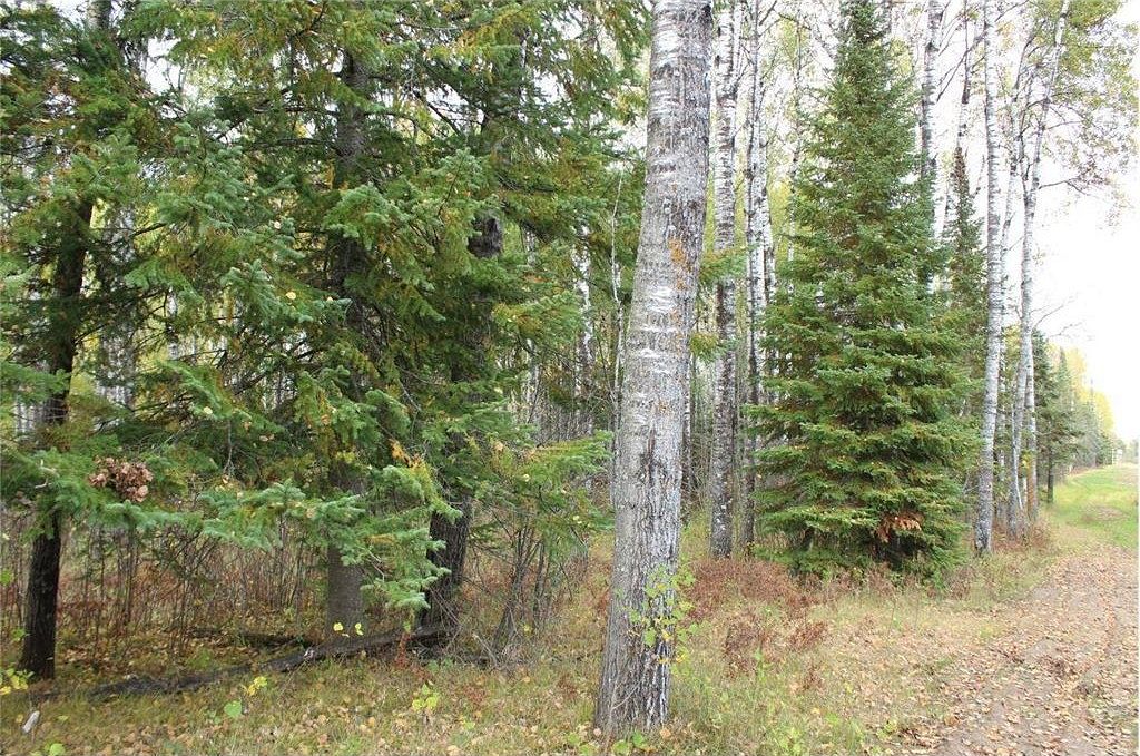 86.9 Acres of Land for Sale in Hibbing, Minnesota