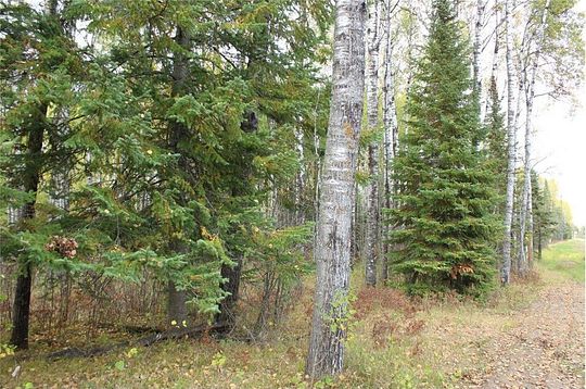 86.9 Acres of Land for Sale in Hibbing, Minnesota