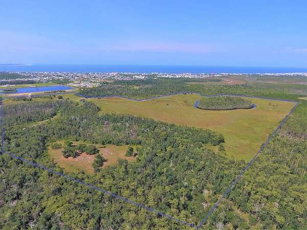 110 Acres of Agricultural & Residential Land for Sale in Mexico Beach, Florida