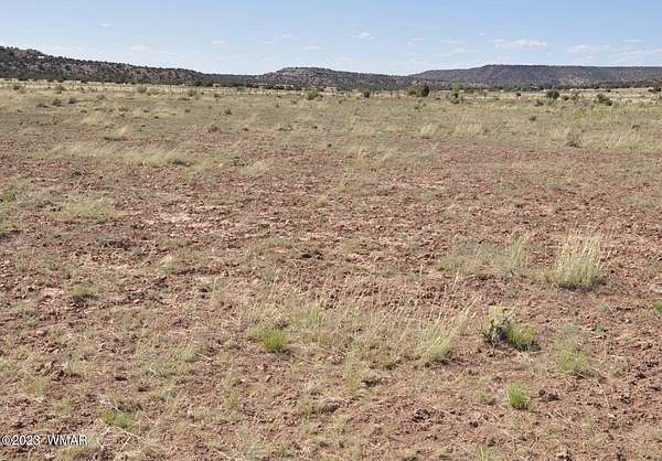 5.16 Acres of Residential Land for Sale in Snowflake, Arizona