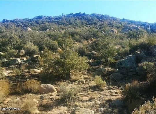71.9 Acres of Land for Sale in Wikieup, Arizona