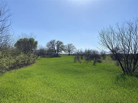 15 Acres of Land for Sale in Carbon, Texas