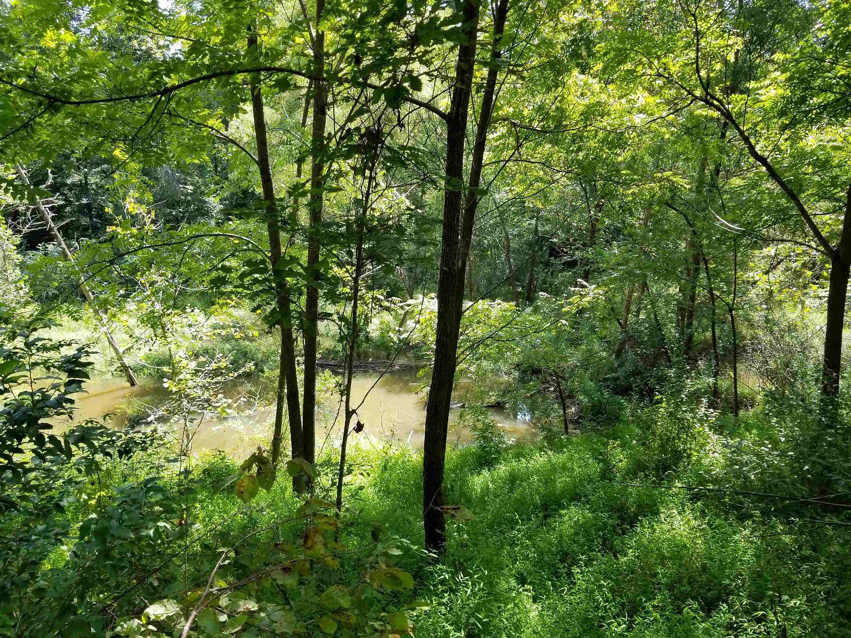 41 Acres of Land for Sale in Mebane, North Carolina