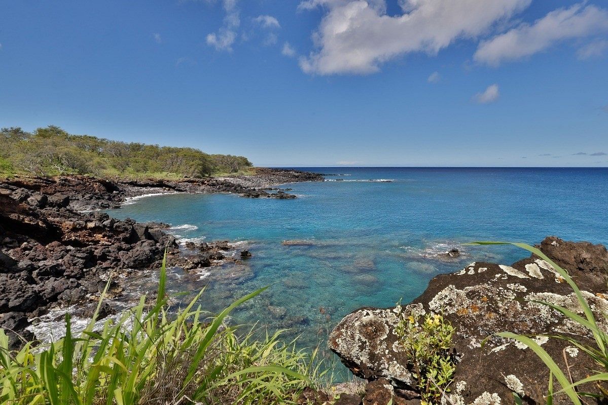 24.1 Acres of Recreational Land & Farm for Sale in Hawi, Hawaii