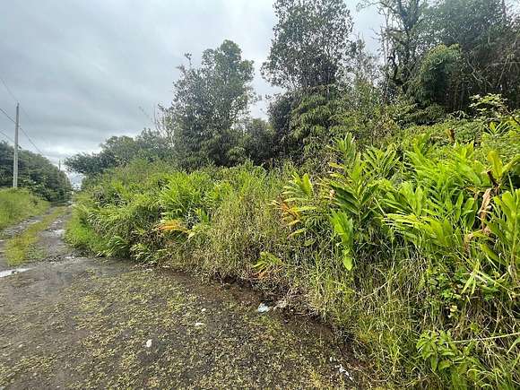 0.19 Acres of Land for Sale in Mountain View, Hawaii