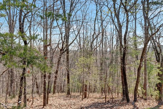 3 Acres of Residential Land for Sale in Clarkesville, Georgia