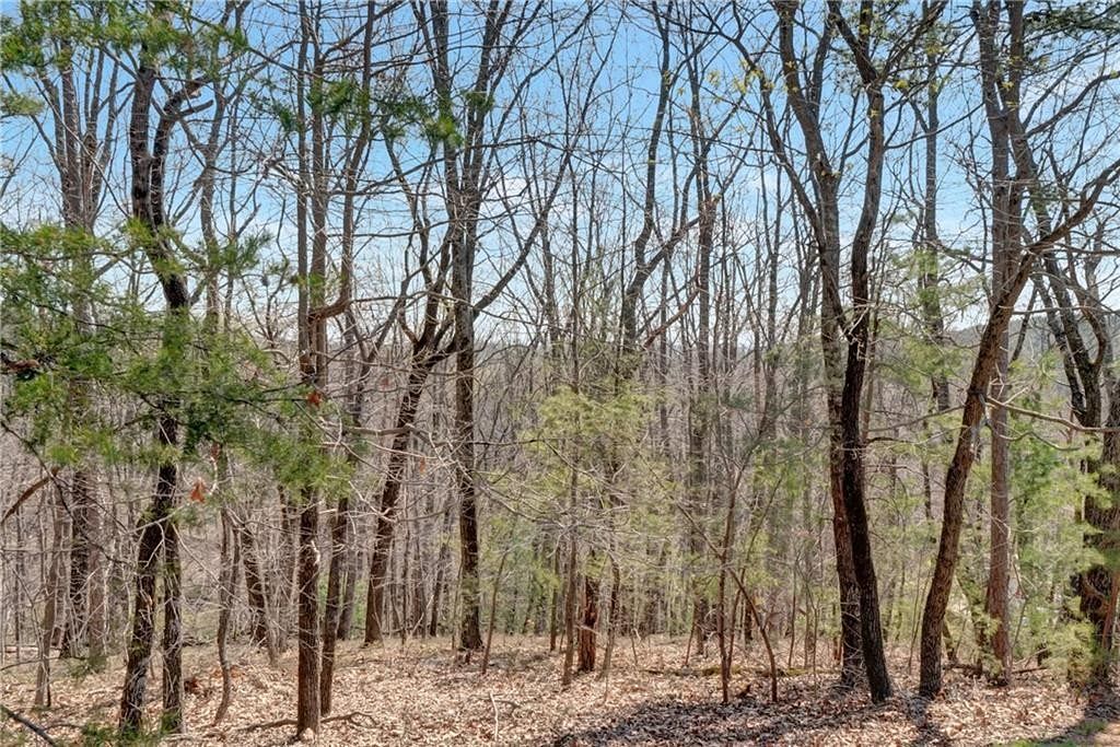 3 Acres of Residential Land for Sale in Clarkesville, Georgia