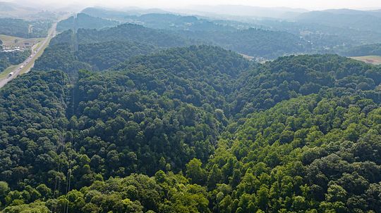 56.3 Acres of Recreational Land for Sale in Blountville, Tennessee