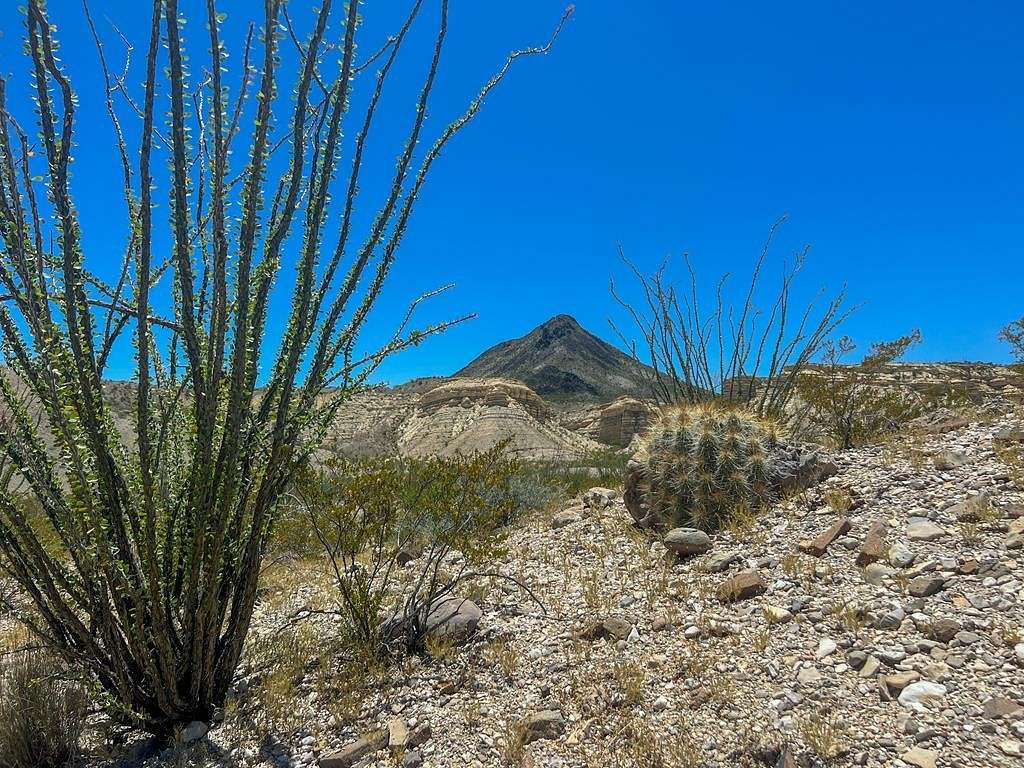 40.1 Acres of Recreational Land for Sale in Terlingua, Texas