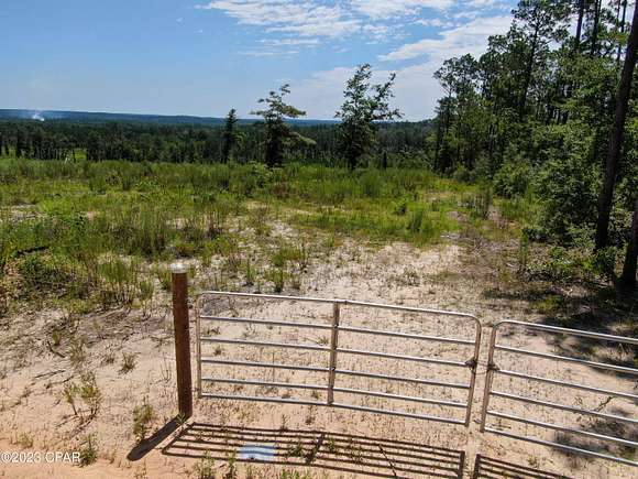 102 Acres of Recreational Land for Sale in Chipley, Florida