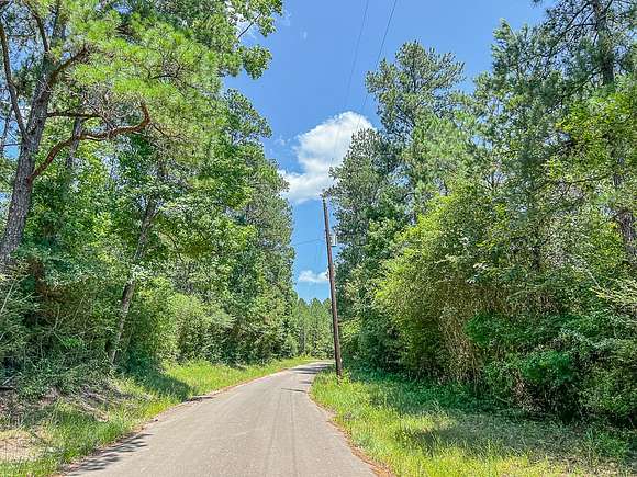 46 Acres of Recreational Land for Sale in Zavalla, Texas