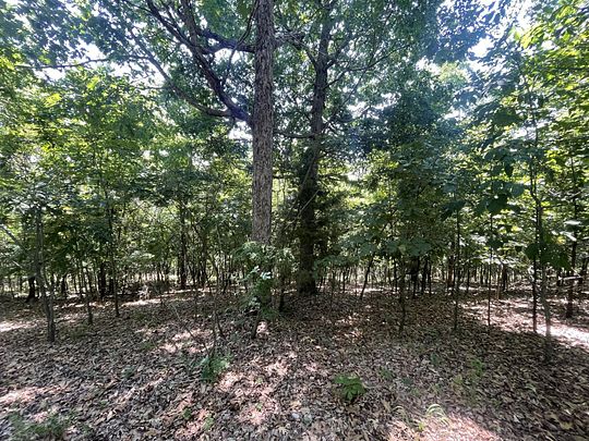 53 Acres of Recreational Land for Sale in Peel, Arkansas