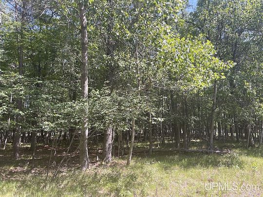 1 Acre of Residential Land for Sale in Gladstone, Michigan