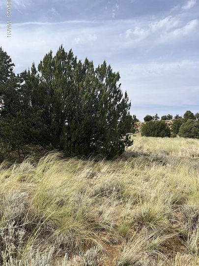2.5 Acres of Residential Land for Sale in Concho, Arizona