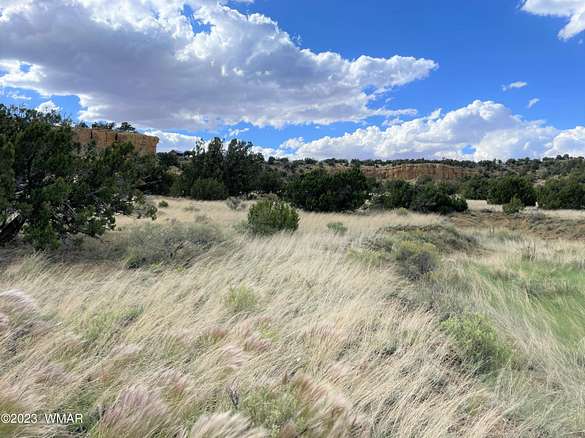 1.03 Acres of Land for Sale in Concho, Arizona