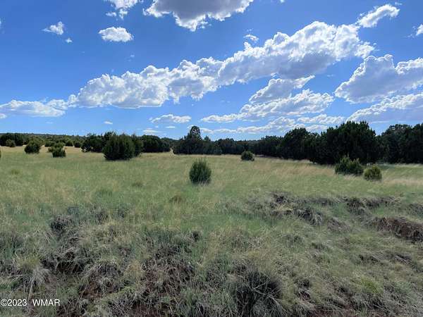 2.28 Acres of Residential Land for Sale in Concho, Arizona