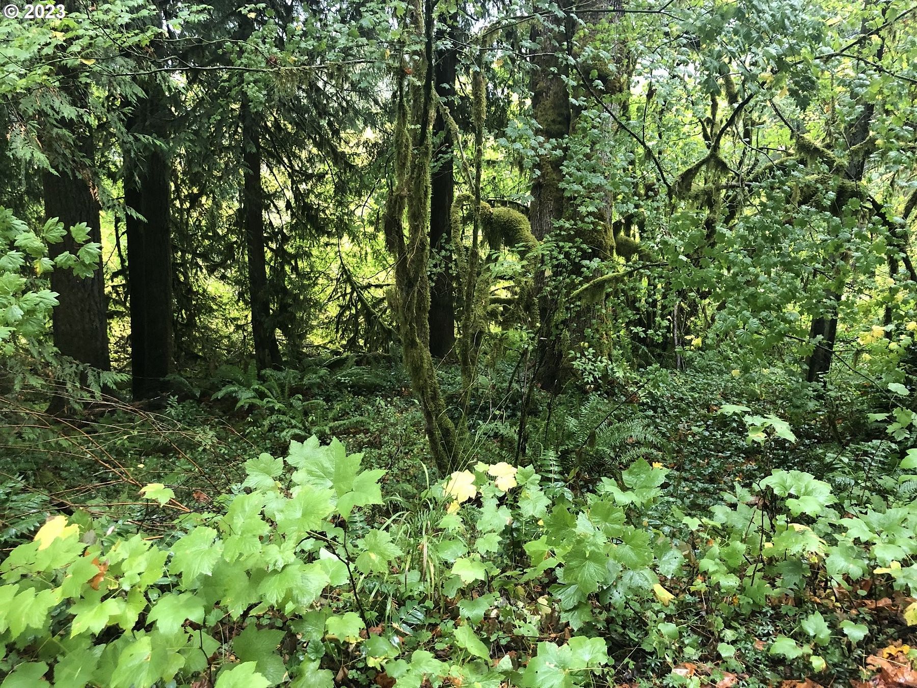 0.46 Acres of Residential Land for Sale in Rhododendron, Oregon