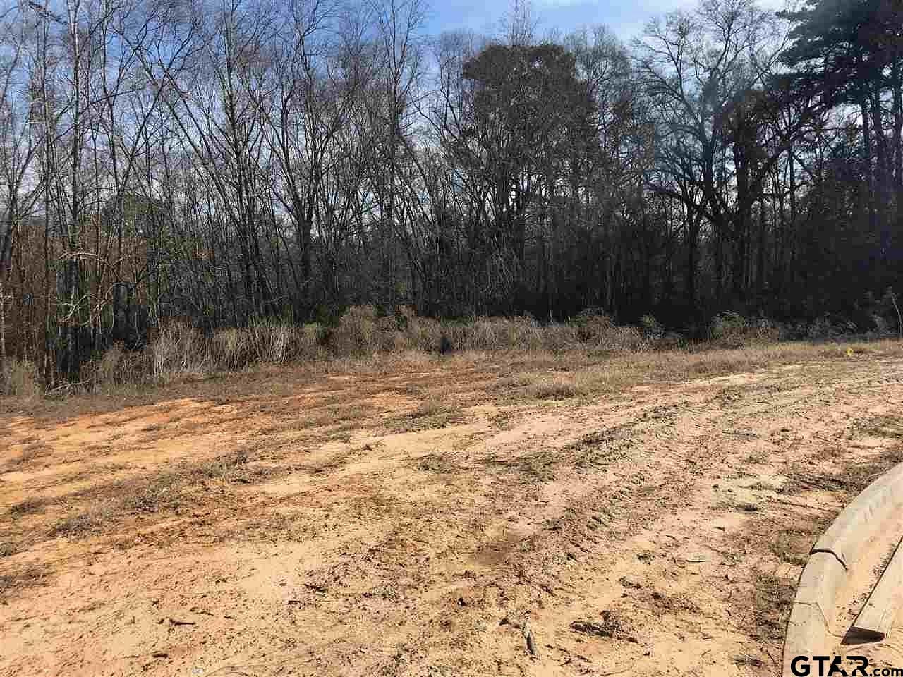 1.3 Acres of Residential Land for Sale in Tyler, Texas