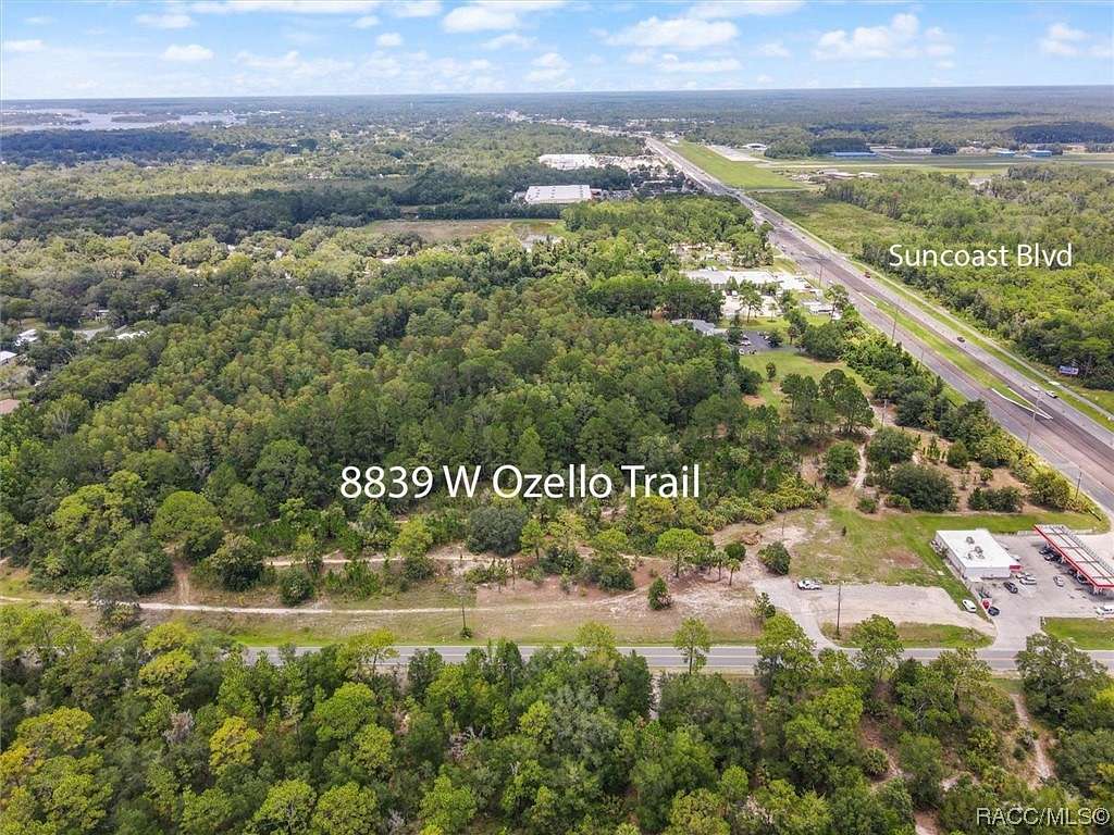 10.8 Acres of Mixed-Use Land for Sale in Crystal River, Florida