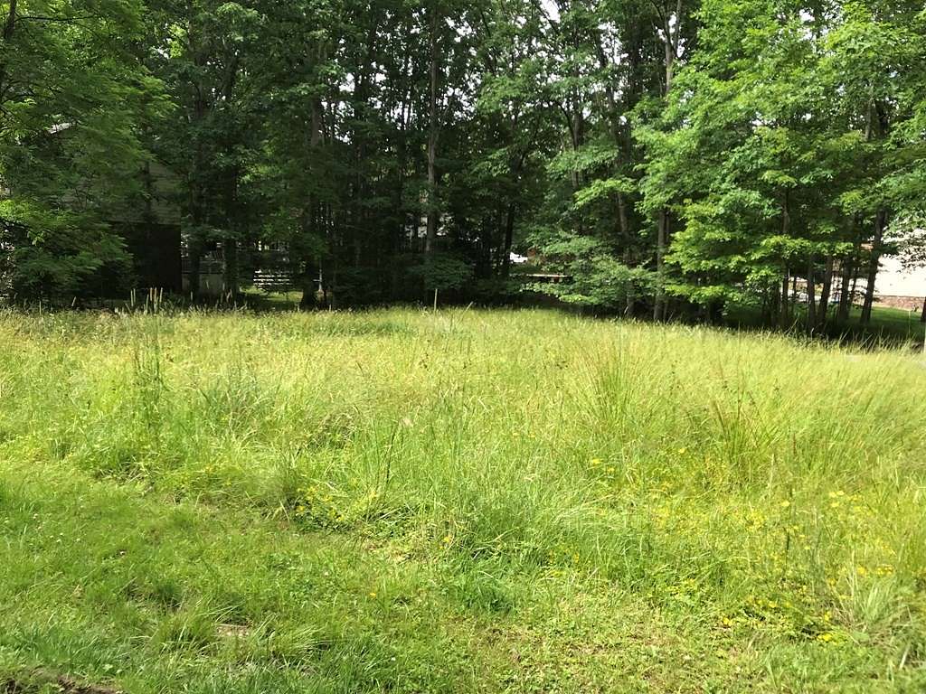 Residential Land for Sale in Beckley, West Virginia