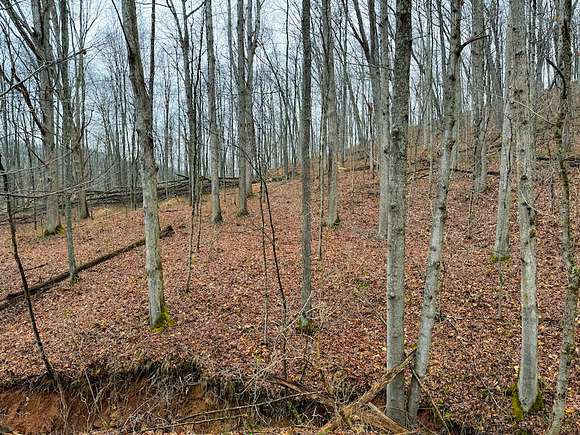 64.1 Acres of Recreational Land for Sale in Pennsboro, West Virginia