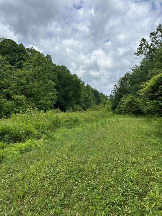 75 Acres of Recreational Land & Farm for Sale in Vanceburg, Kentucky