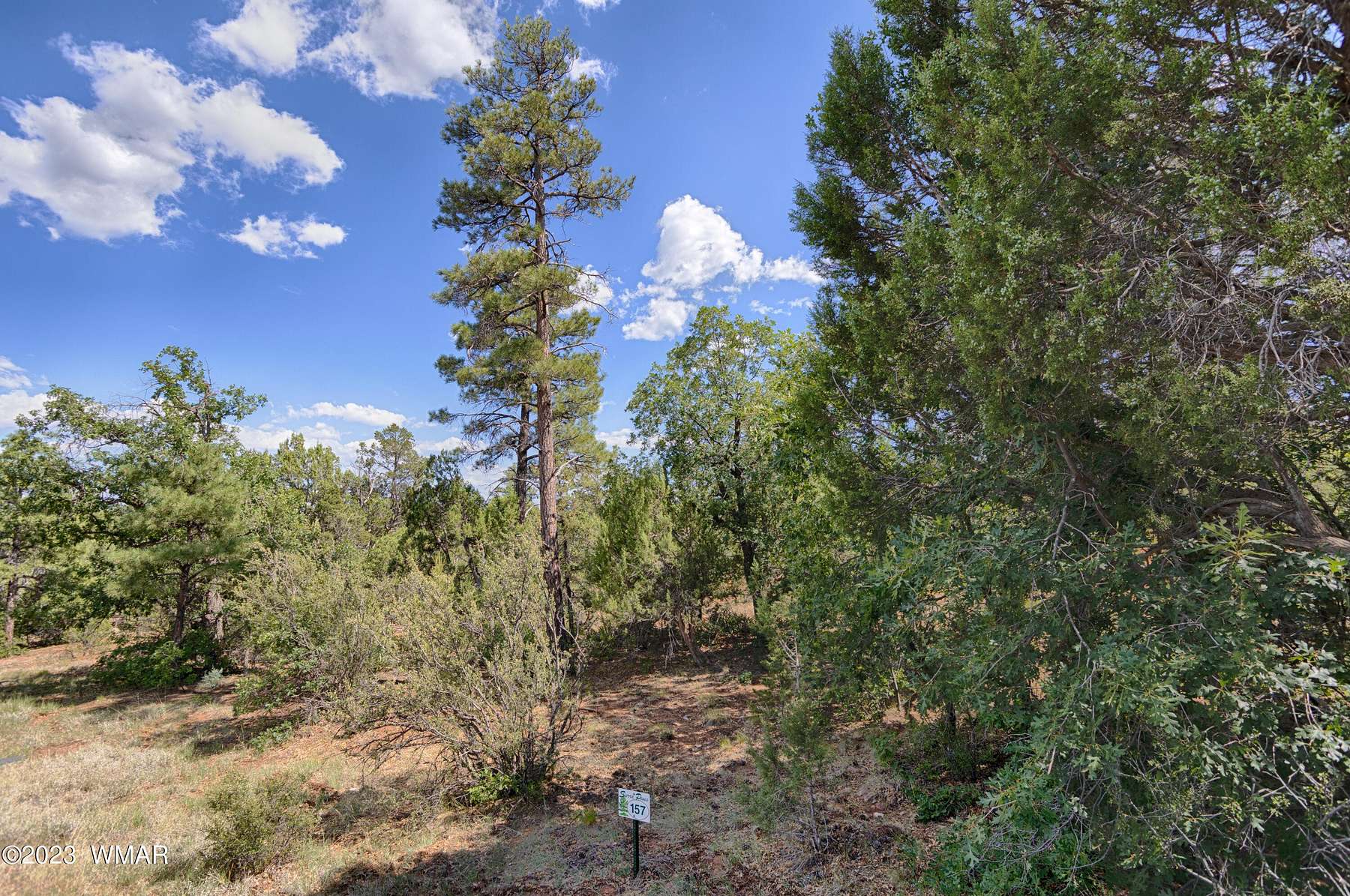 0.99 Acres of Residential Land for Sale in Show Low, Arizona