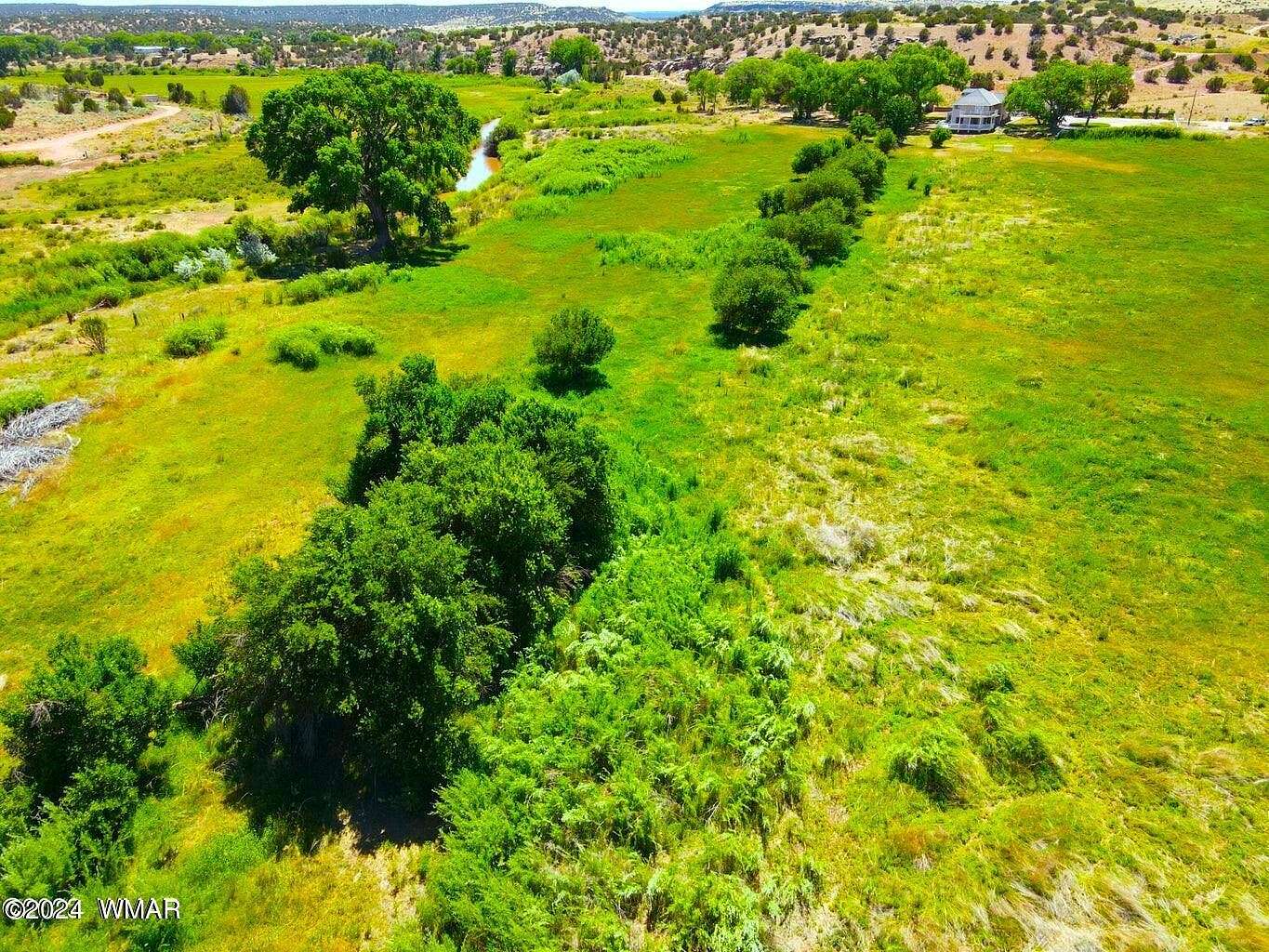 16.5 Acres of Agricultural Land for Sale in Taylor, Arizona