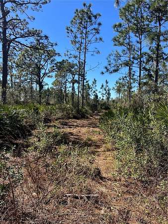 1.25 Acres of Residential Land for Sale in Lake Wales, Florida