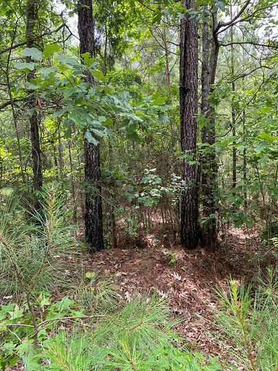 112 Acres of Recreational Land for Sale in Farmersville, Alabama