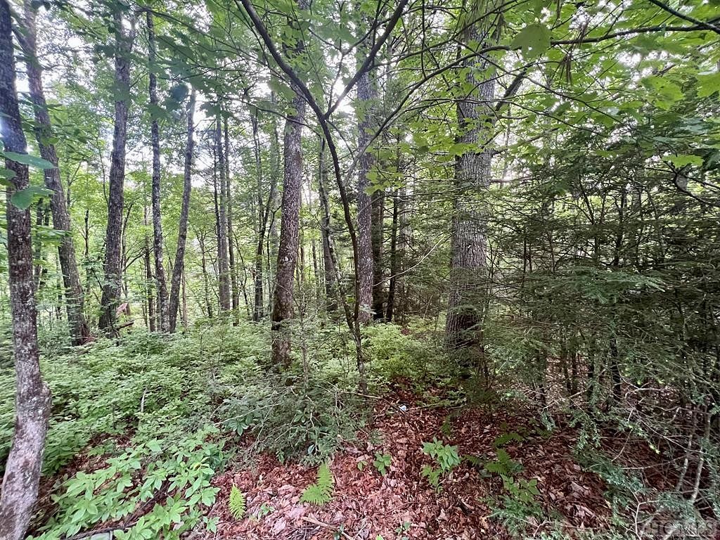0.63 Acres of Land for Sale in Sapphire, North Carolina