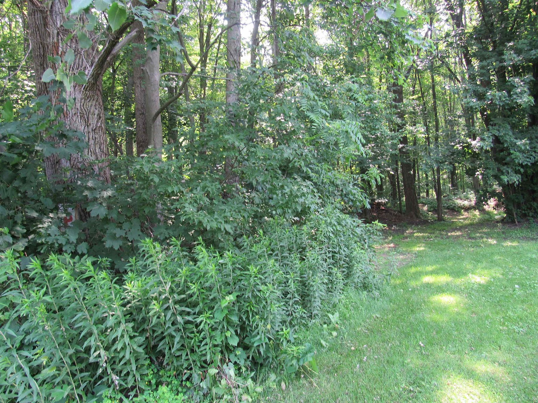 10.9 Acres of Land for Sale in Swanton, Vermont