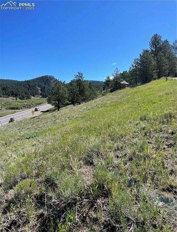 1.25 Acres of Land for Sale in Florissant, Colorado
