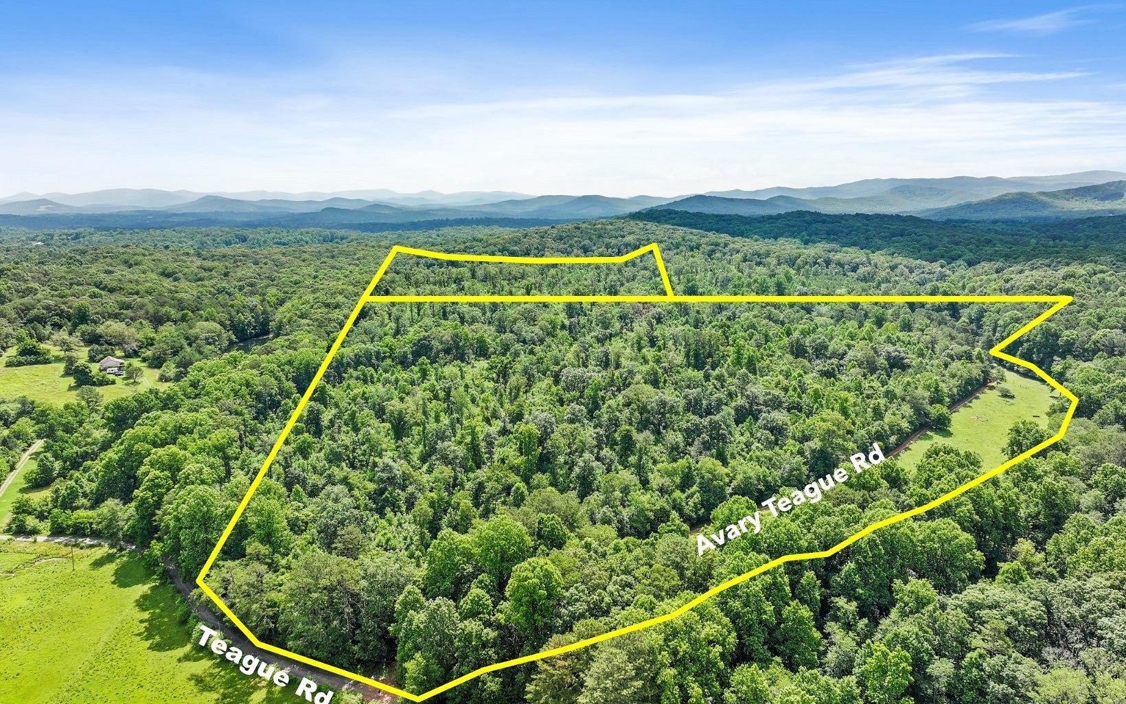 93 Acres of Land for Sale in Ellijay, Georgia