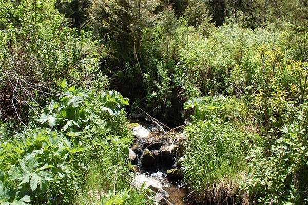 1.3 Acres of Land for Sale in Virginia City, Montana