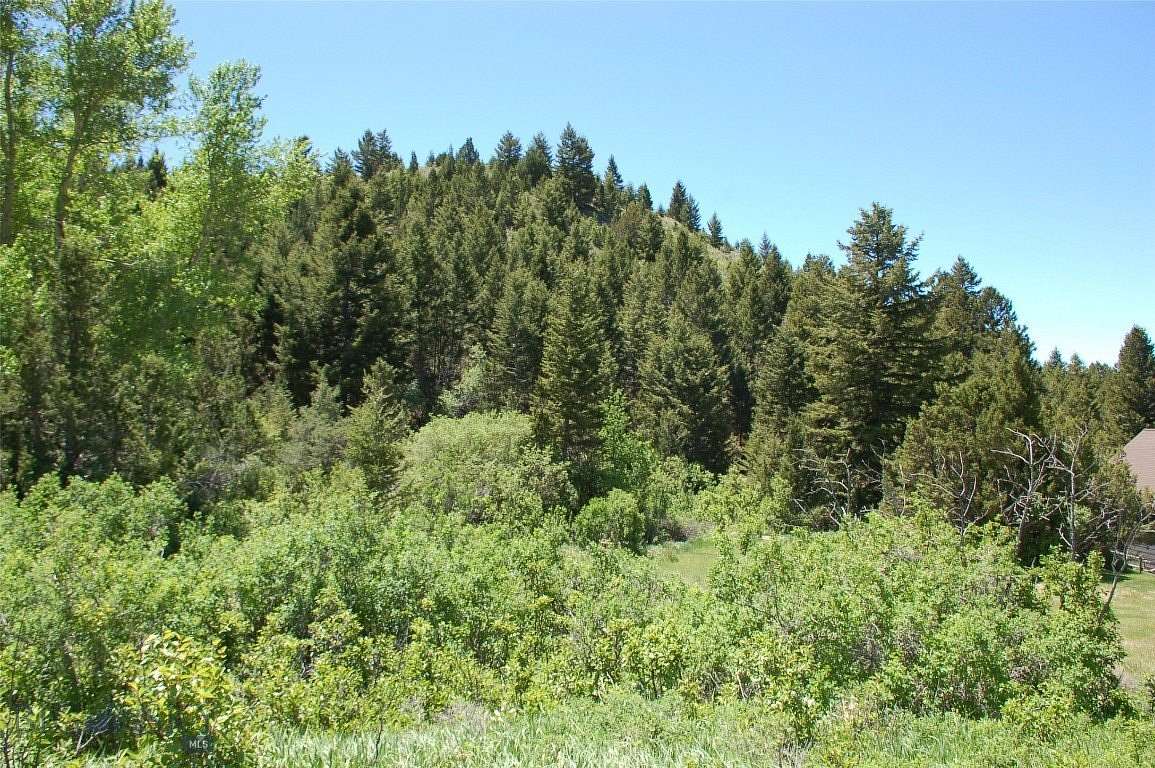 1.3 Acres of Land for Sale in Virginia City, Montana