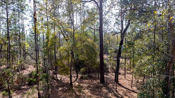 0.23 Acres of Land for Sale in Interlachen, Florida