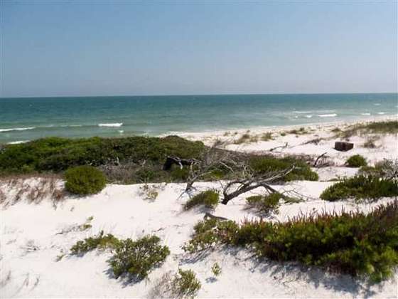 0.79 Acres of Land for Sale in Dog Island, Florida