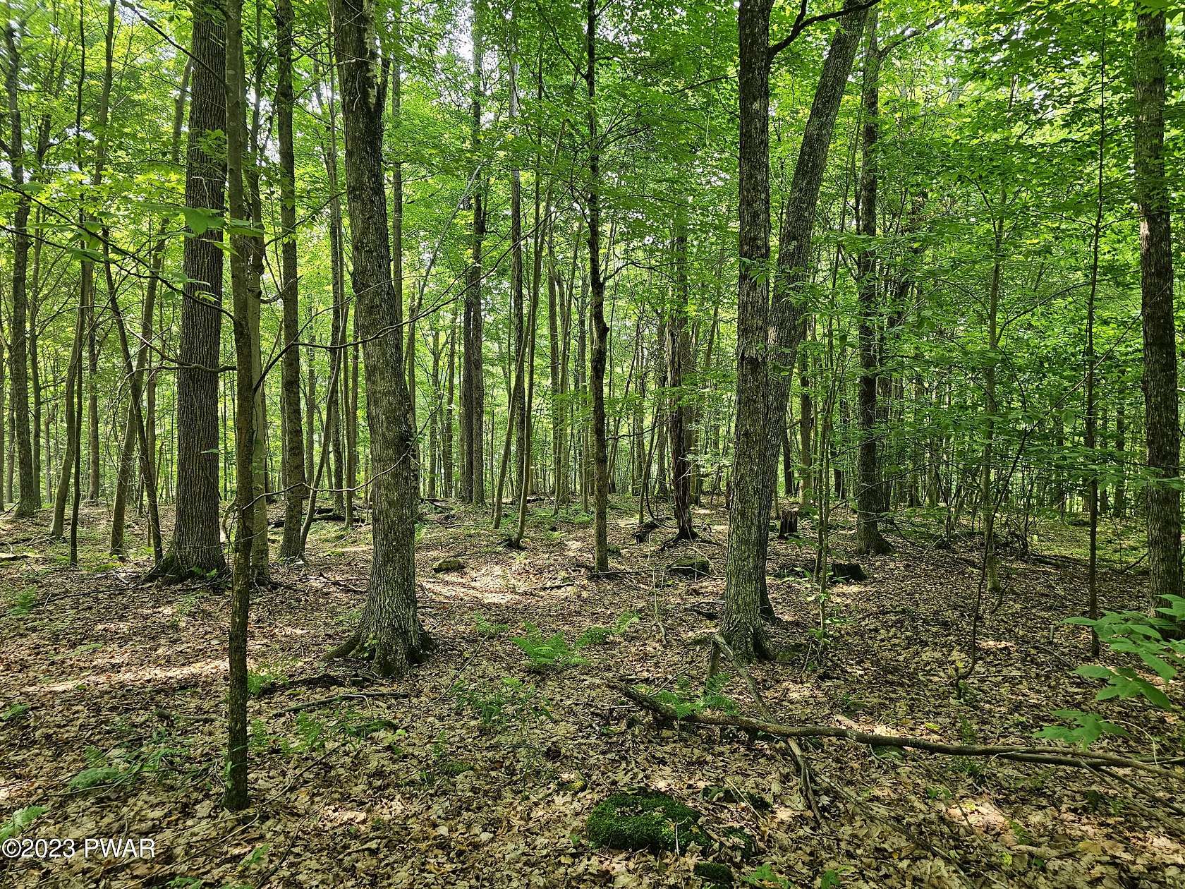 5-acres-of-land-for-sale-in-equinunk-pennsylvania-landsearch